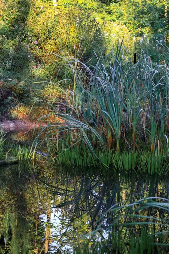 Funks Brünnele Weg - Schlierbach Waldsee