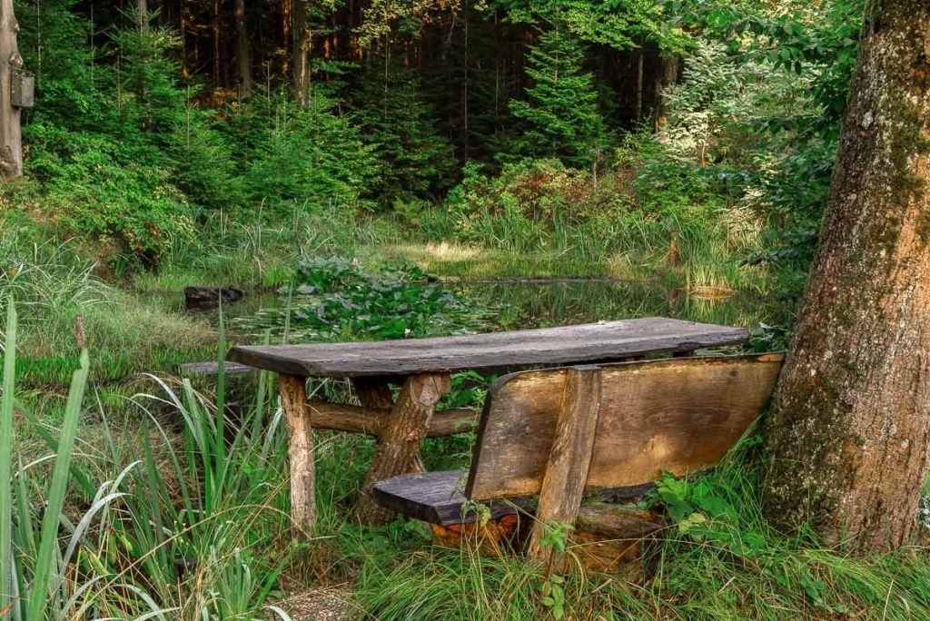 Funks Brünnele Weg - ein weiterer Rastplatz mit Holztisch und Holzbank