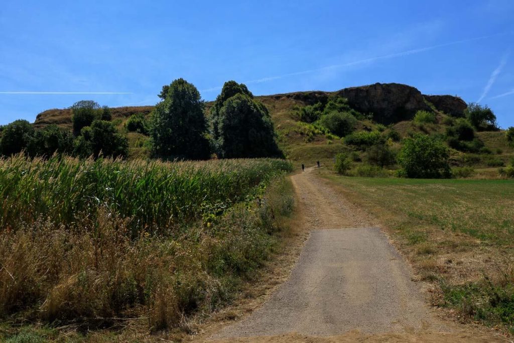 Der Weg zum Goldberg