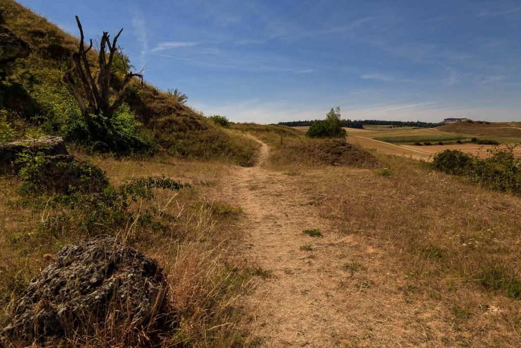 Naturbelassener Wanderweg am Goldberg