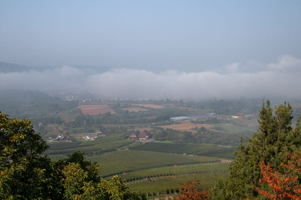 Blick auf einen Teil des Wanderweg Natur Schön