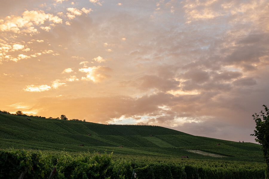Sonnenaufgang über den Weinbergen von Weinstadt