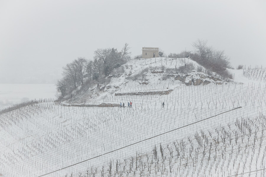 Weinberge bei Weinstadt im Winter im Winter mit Blick aufs Schützenhüttle Esel