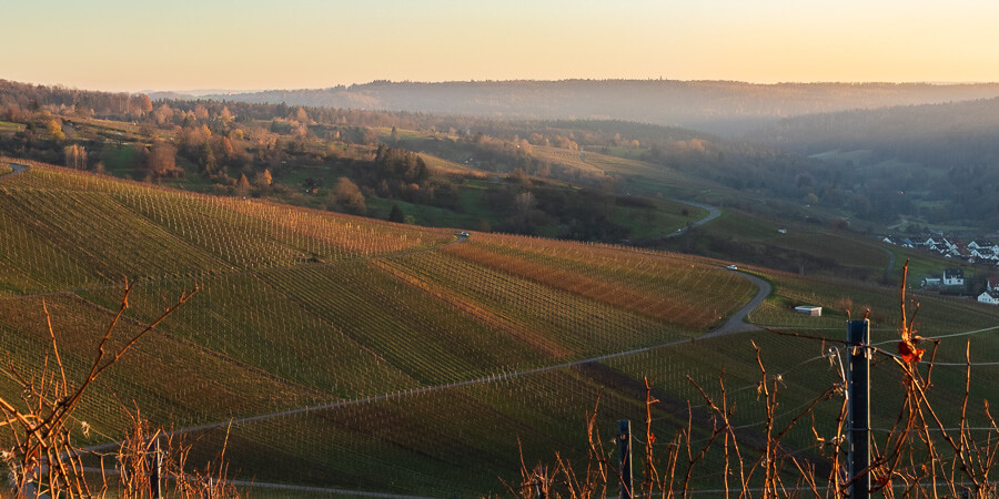 Weinberge über Weinstadt Schnait im Winter ohne Schnee