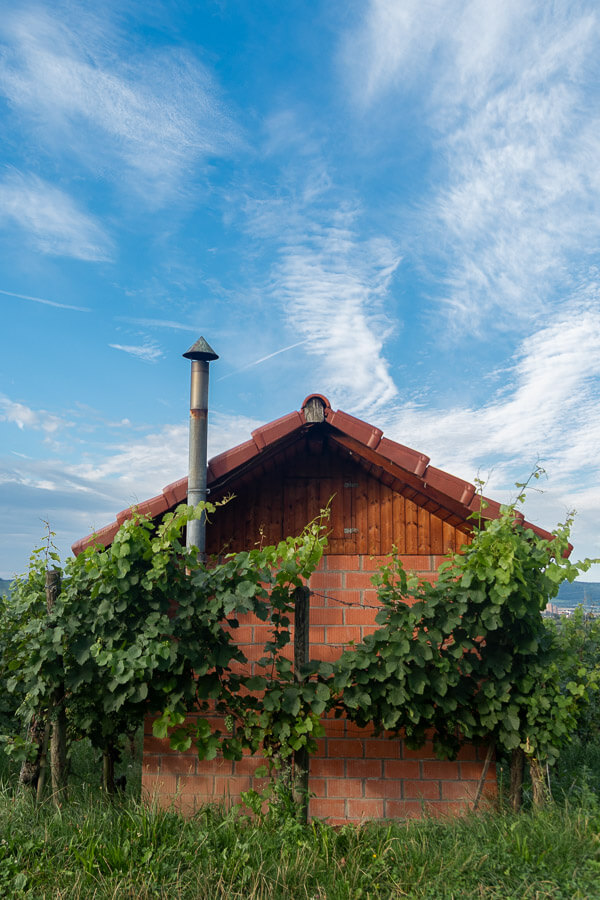 Wengerthäuschen in einem Weinberg von Weinstadt