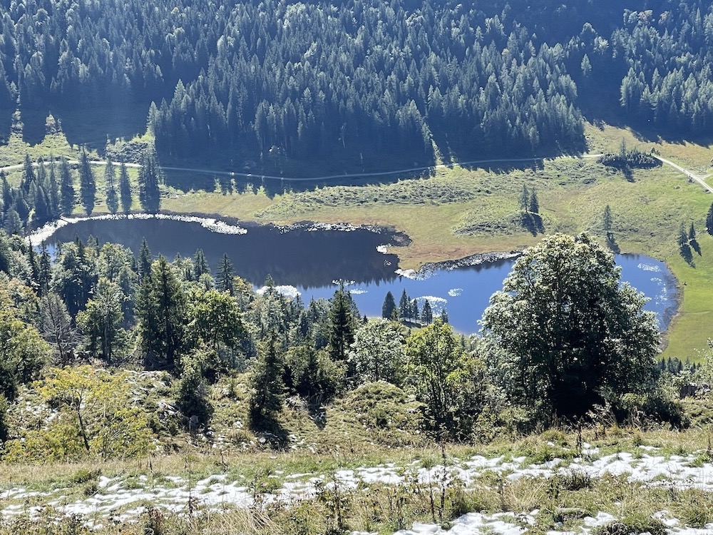 Der Seewaldsee von oben