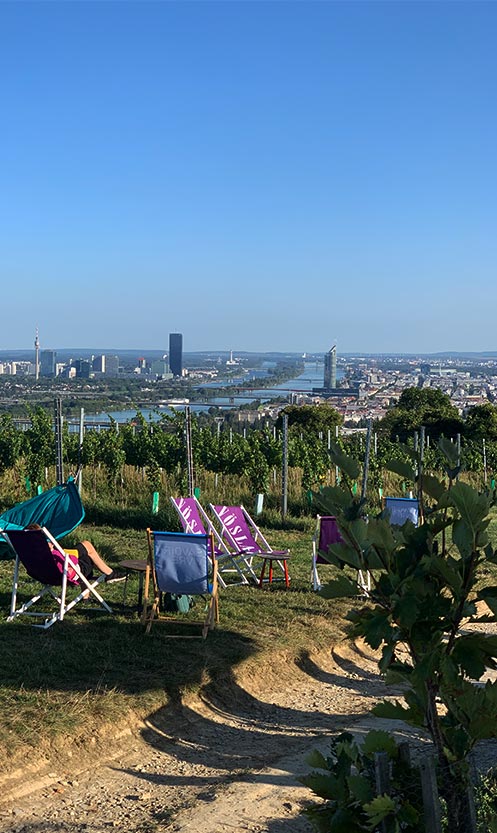 Ruheoase Kahlenberg ausruhen in den Weinbergen