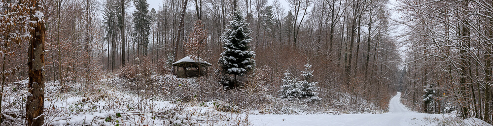 Schutzhütte im Wald auf dem Geiststeinweg