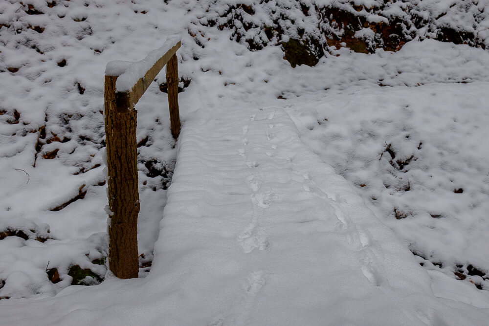 Brücke über Waldbach auf dem Geiststeinweg